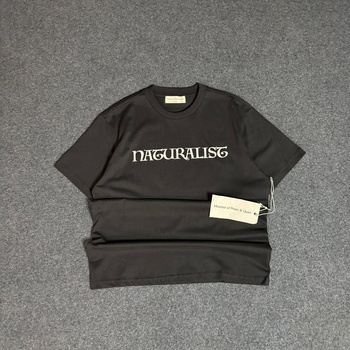 Museum of peace and quiet naturalist tee brown