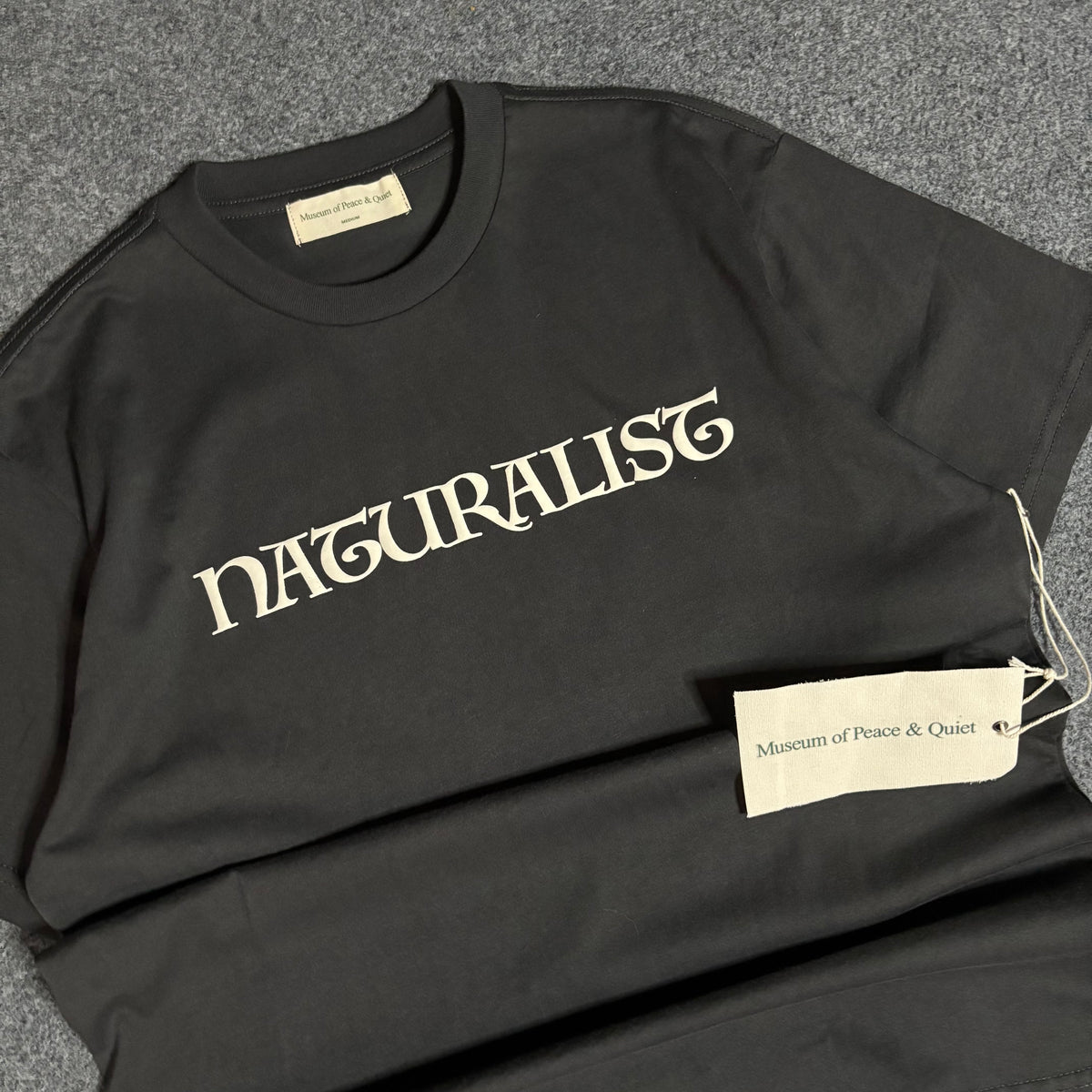 Museum of peace and quiet naturalist tee brown