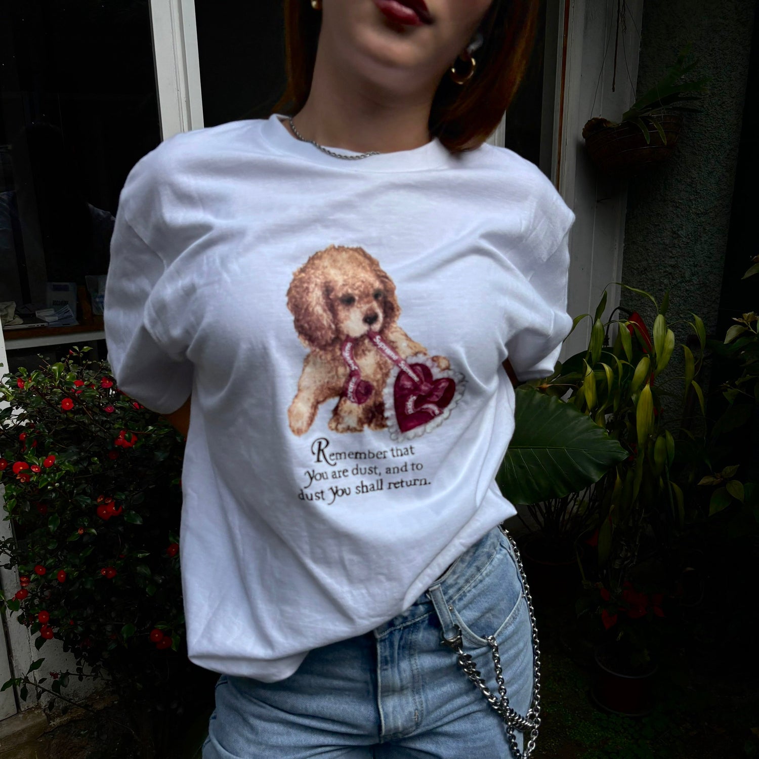 Camisas
