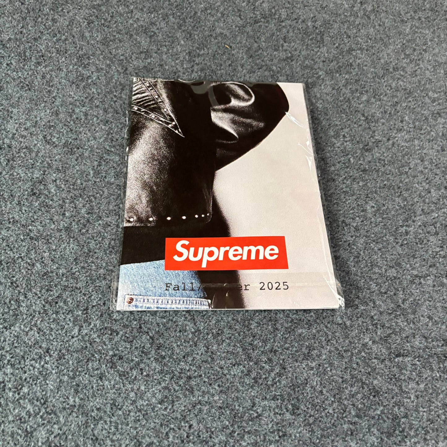 Supreme fall/winter 25 lookbook poster