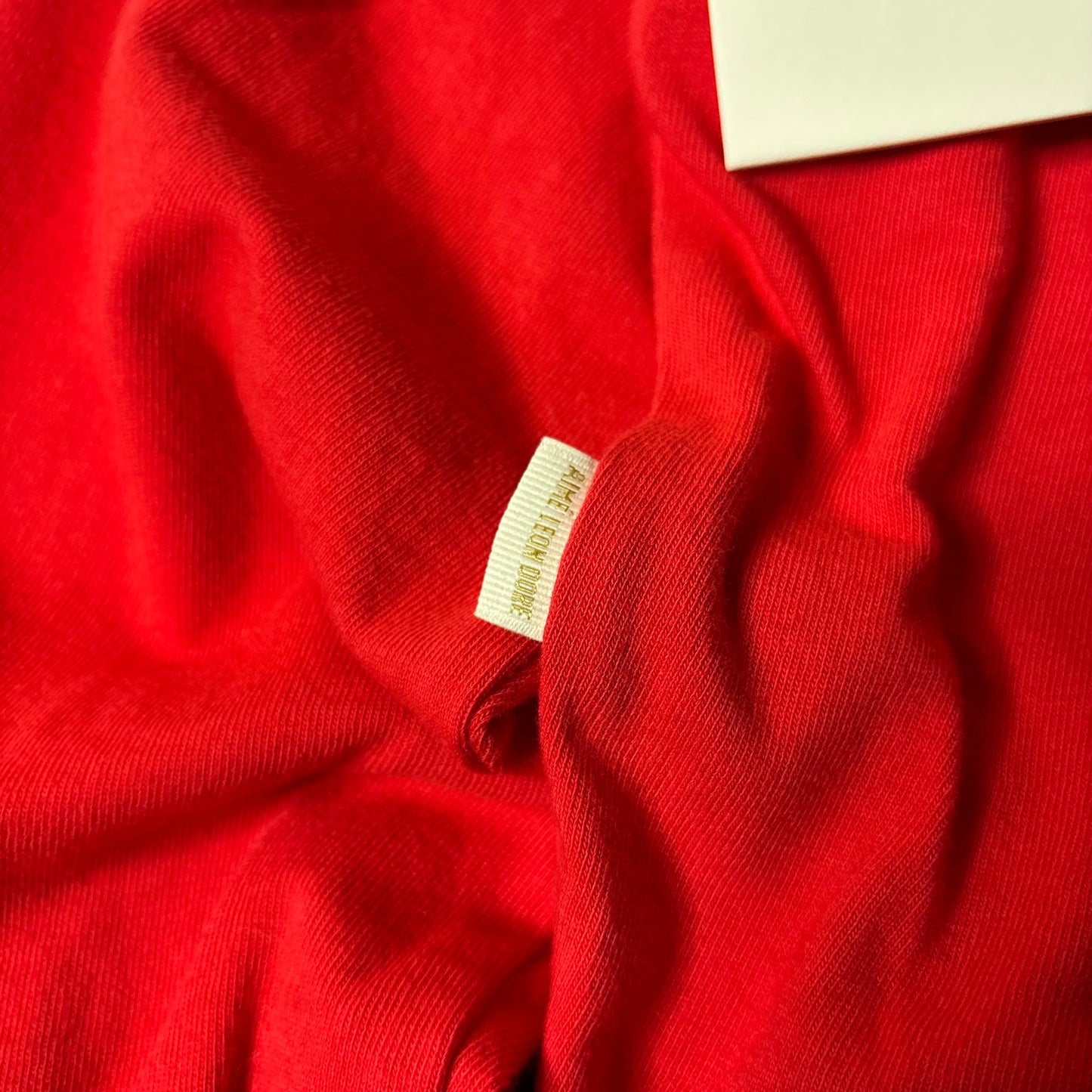 Aime Leon Dore nos basics queens crest ls pocket tee
