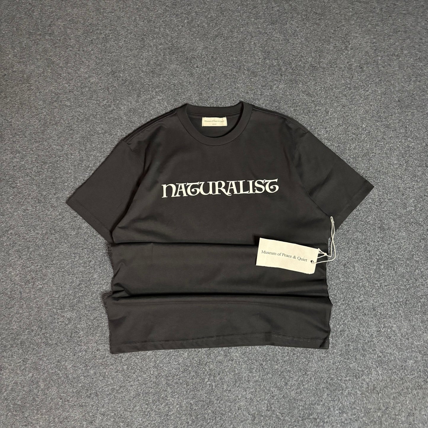 Museum of peace and quiet naturalist tee brown