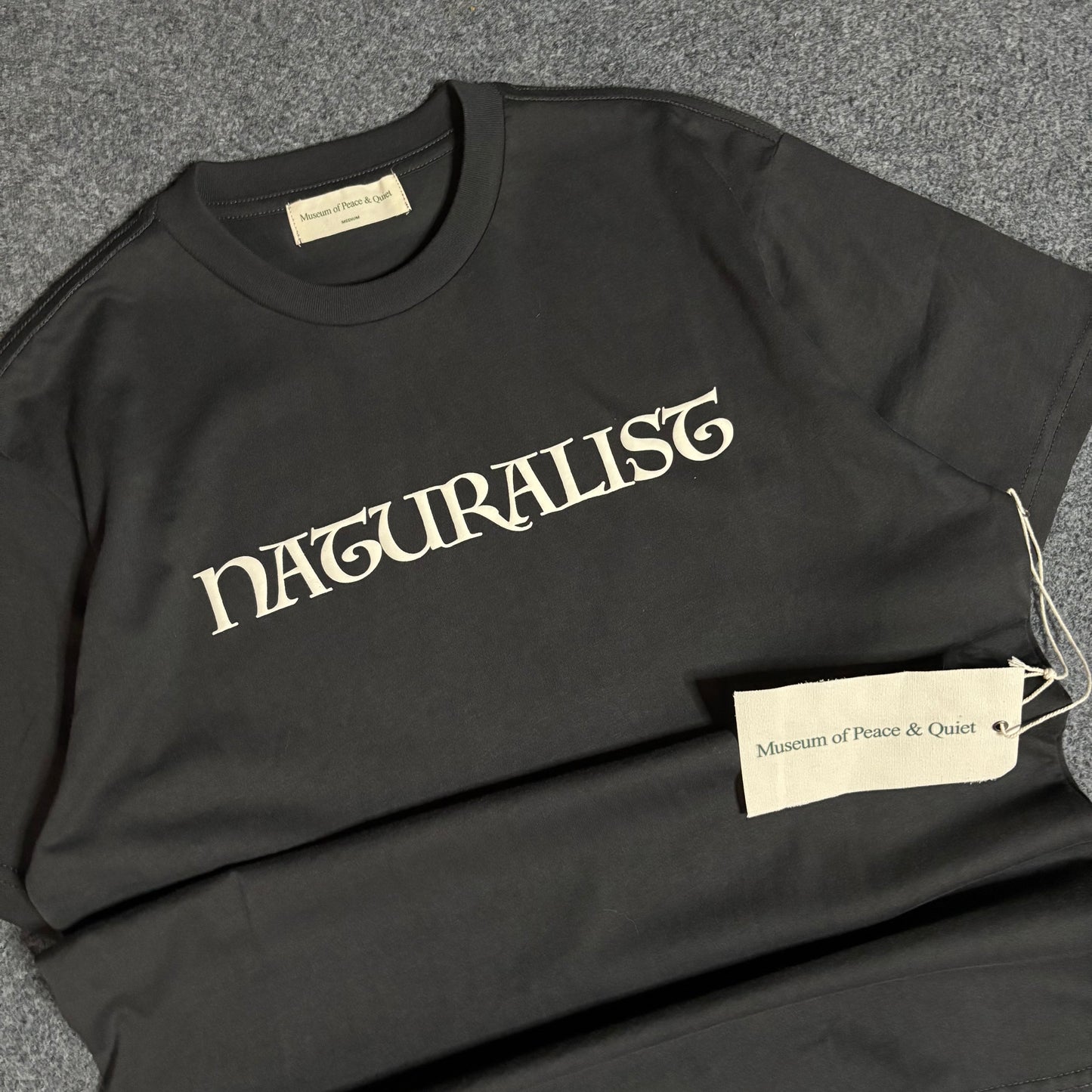 Museum of peace and quiet naturalist tee brown