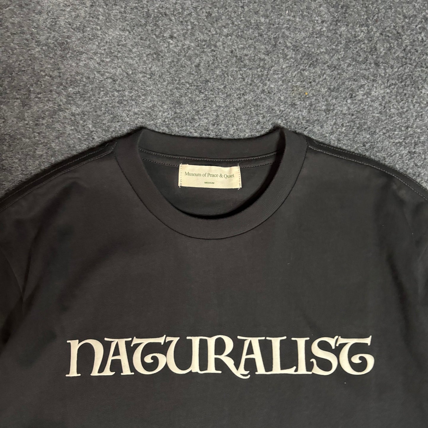 Museum of peace and quiet naturalist tee brown