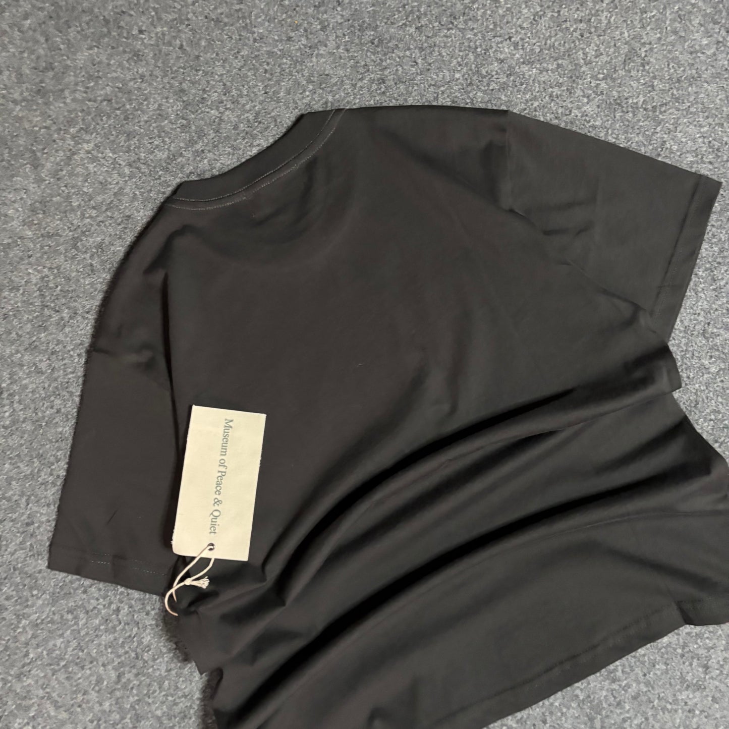 Museum of peace and quiet naturalist tee brown